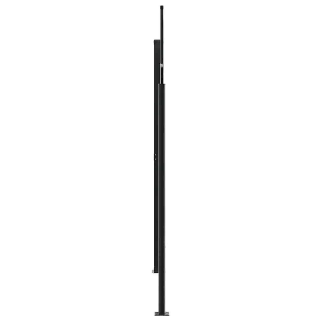 Retractable Outdoor Privacy Screen Awning Anthracite 200x1200cm