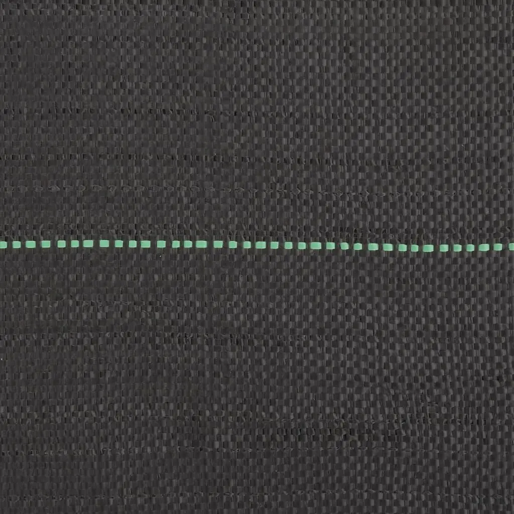 Weed Membrane Black Durable Polypropylene 2x100 m Landscape Fabric Mat