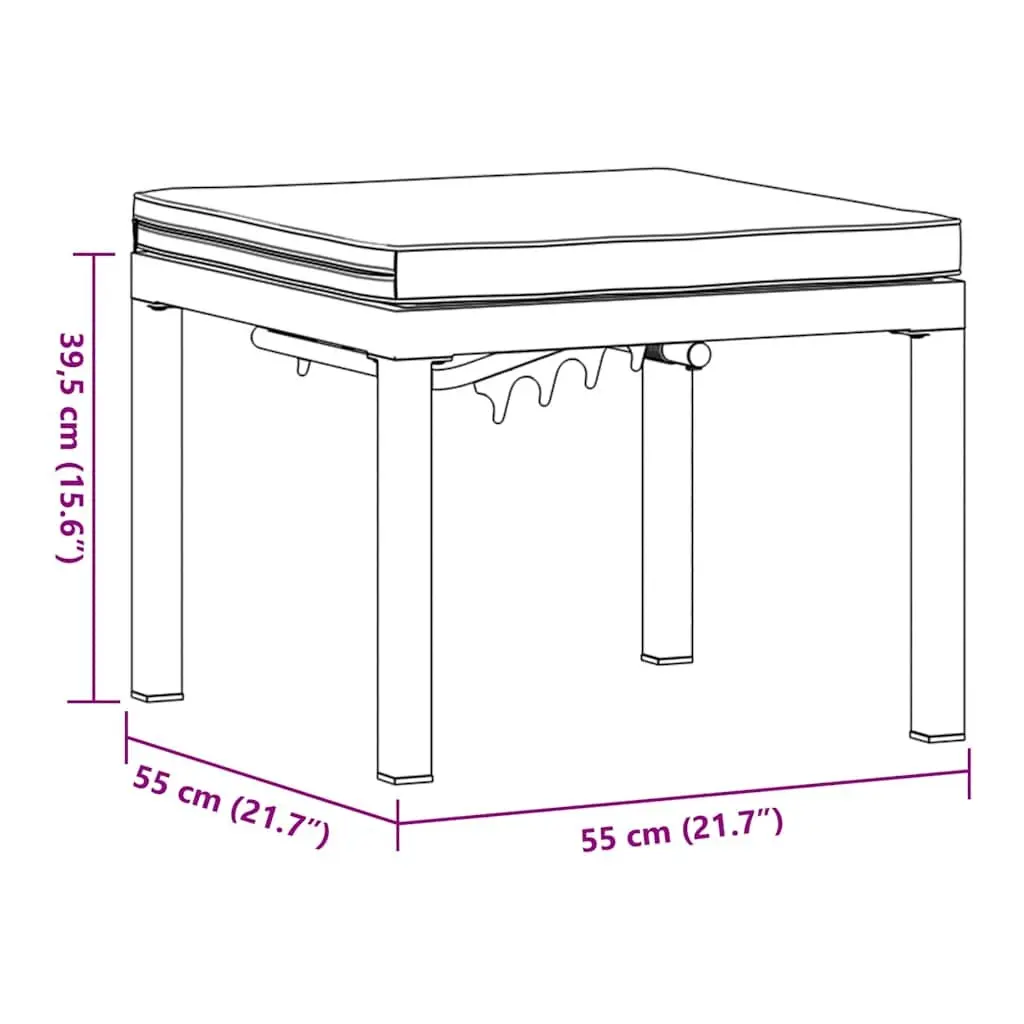 Outdoor Garden Stool with Cushion
