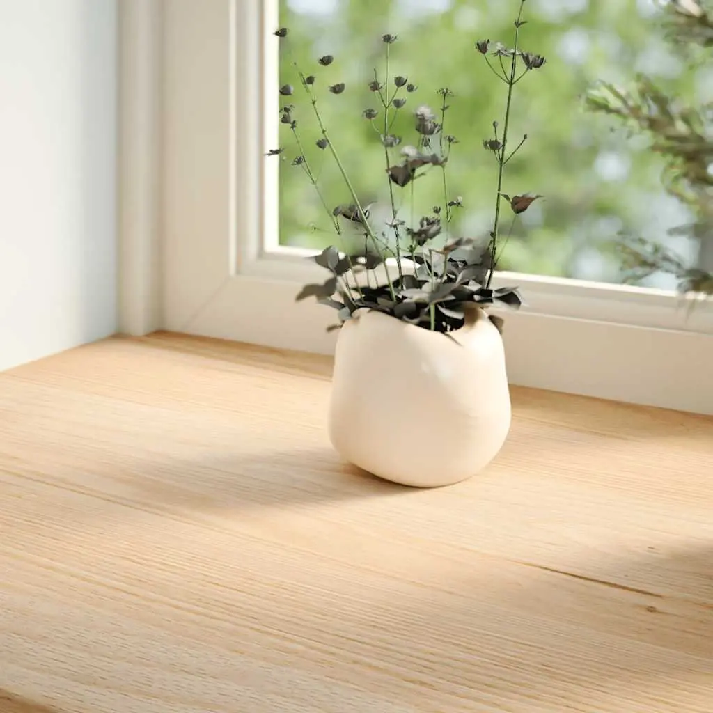 Window Sills Solid Oak Wood Untreated 110x25x2 cm Natural Display Ledge 2 Piece