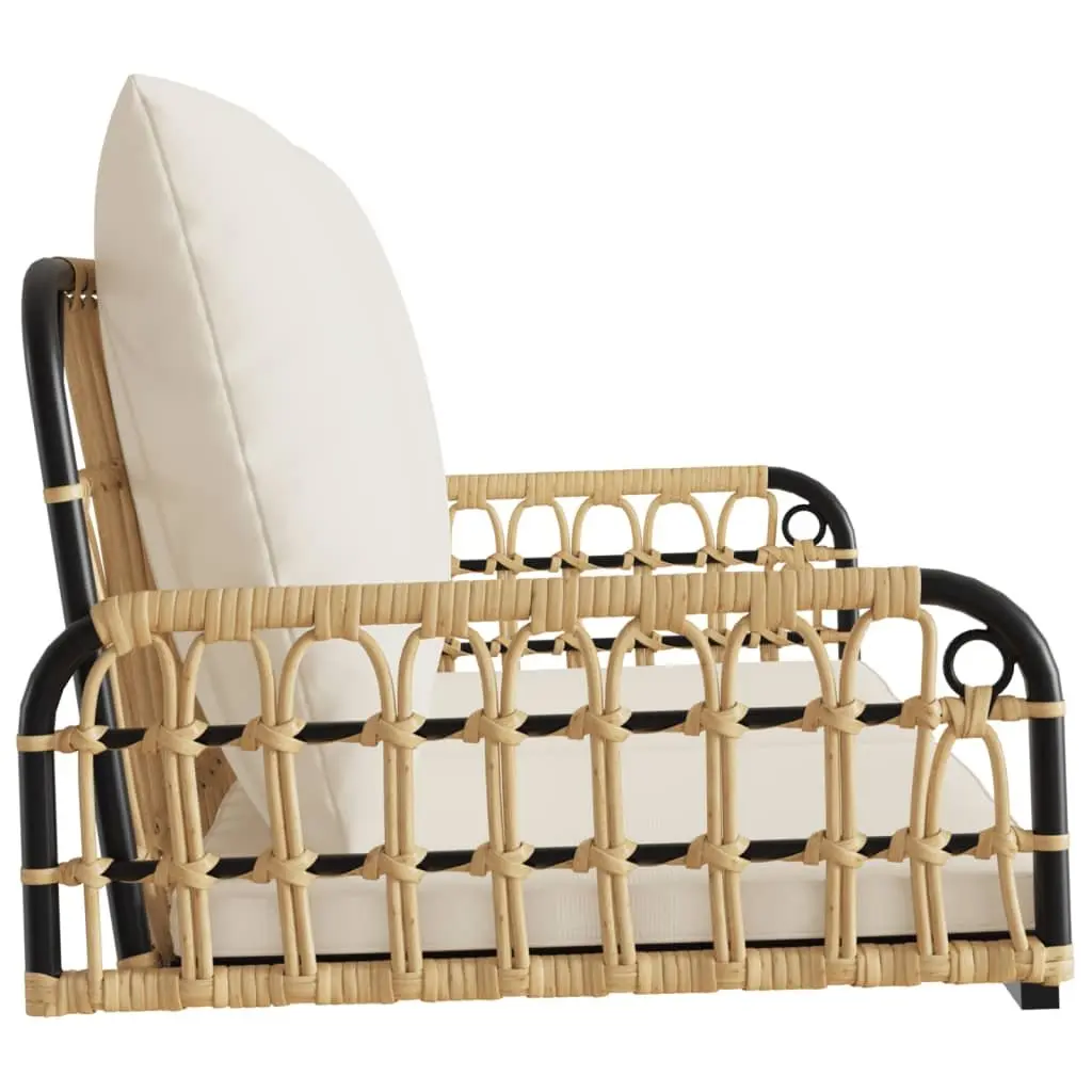 Swing Bench with Cushions