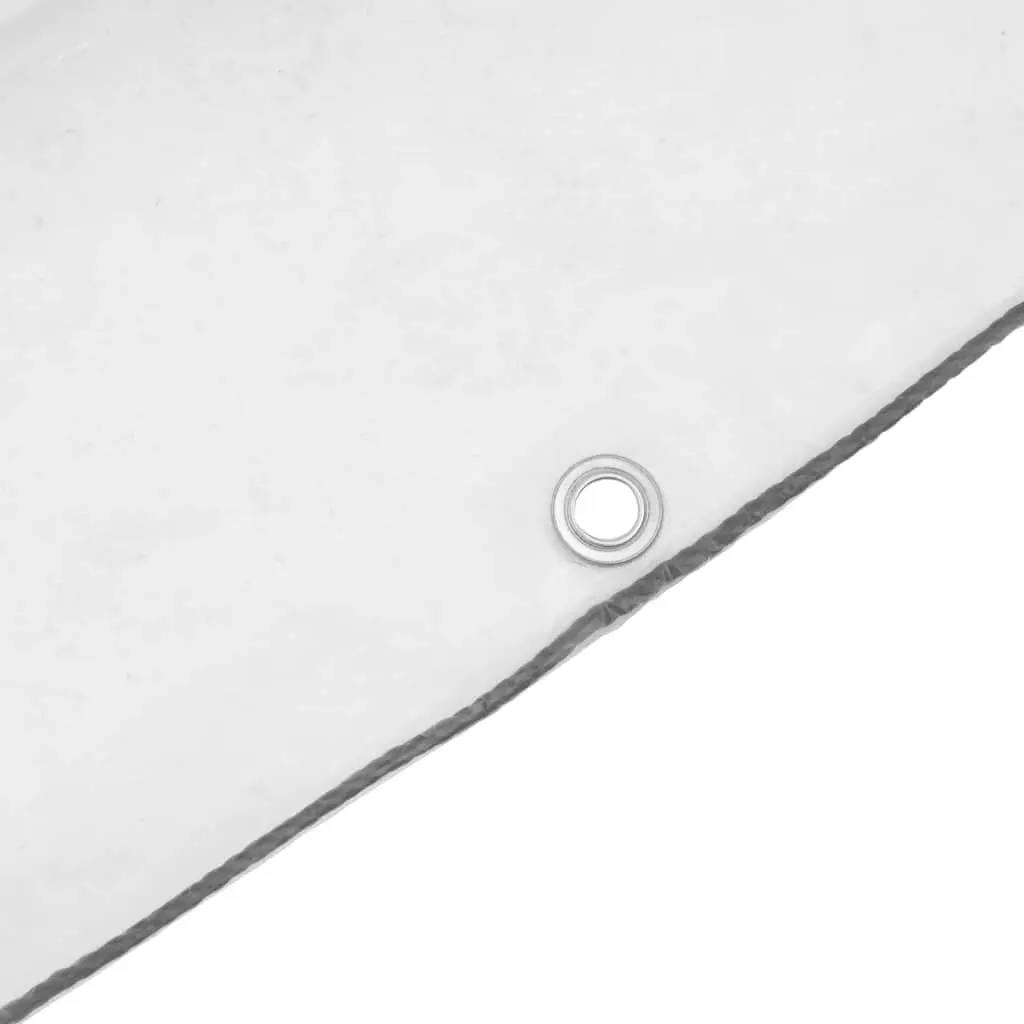 Clear Polyethylene Tarpaulin Waterproof Cover with Eyelets 2x3 m