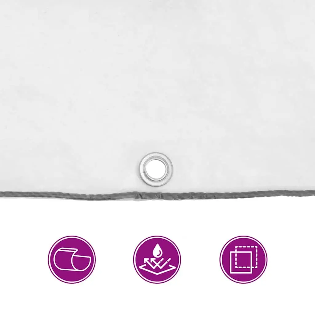 Clear Polyethylene Tarpaulin Waterproof Cover with Eyelets 2x3 m