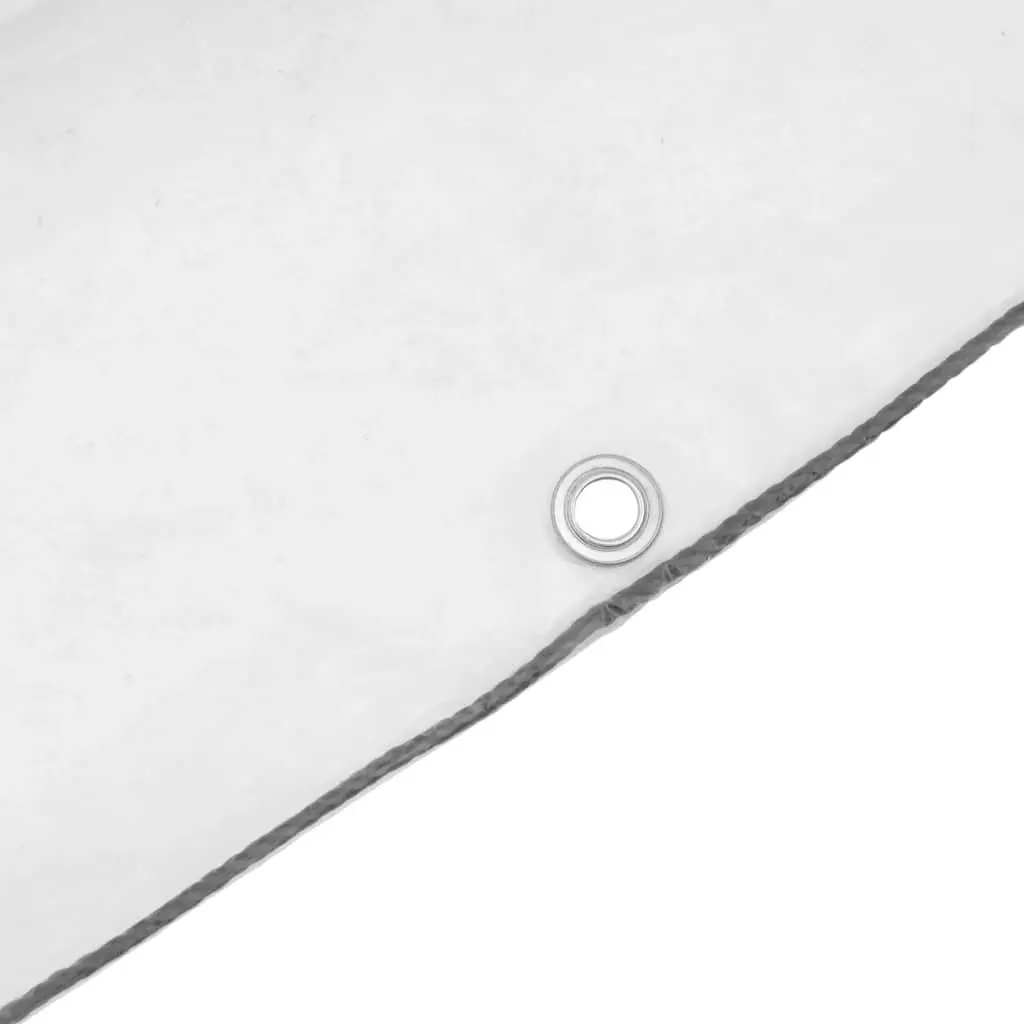 Clear Tarpaulin 3x5 m Transparent Polyethylene Waterproof with Eyelets