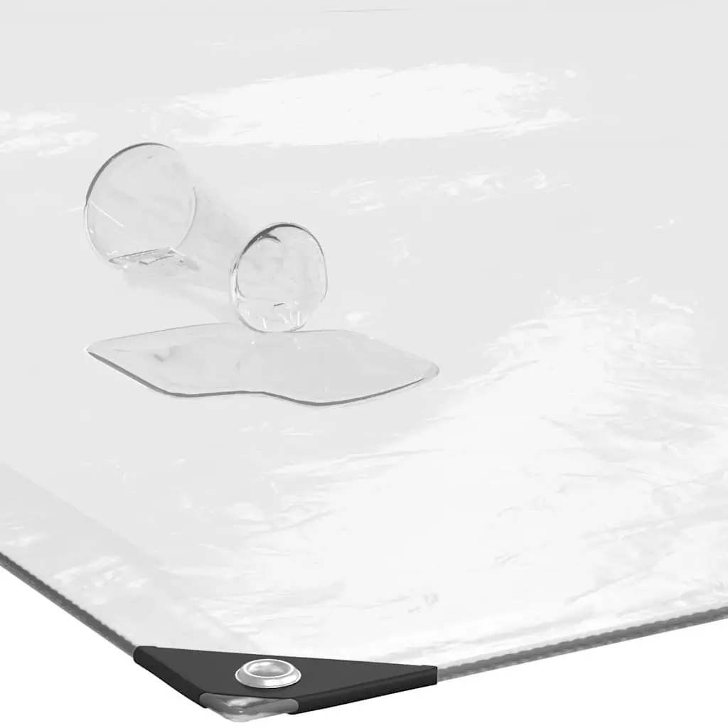 Clear Tarpaulin 3x5 m Transparent Polyethylene Waterproof with Eyelets