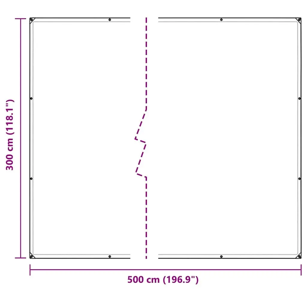 Clear Tarpaulin 3x5 m Transparent Polyethylene Waterproof with Eyelets
