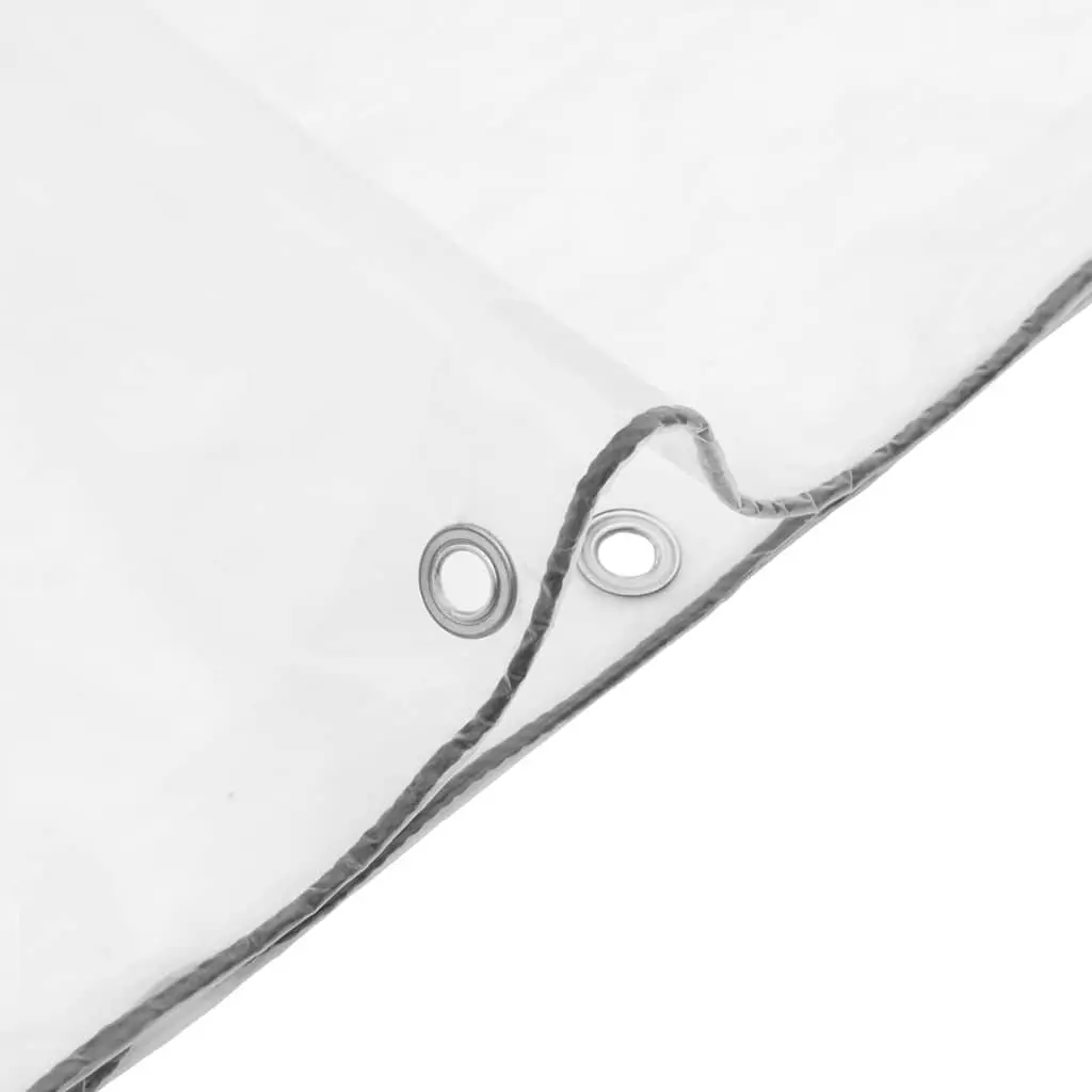 Clear Tarpaulin Waterproof Cover with Eyelets 3x8m Polyethylene Transparent
