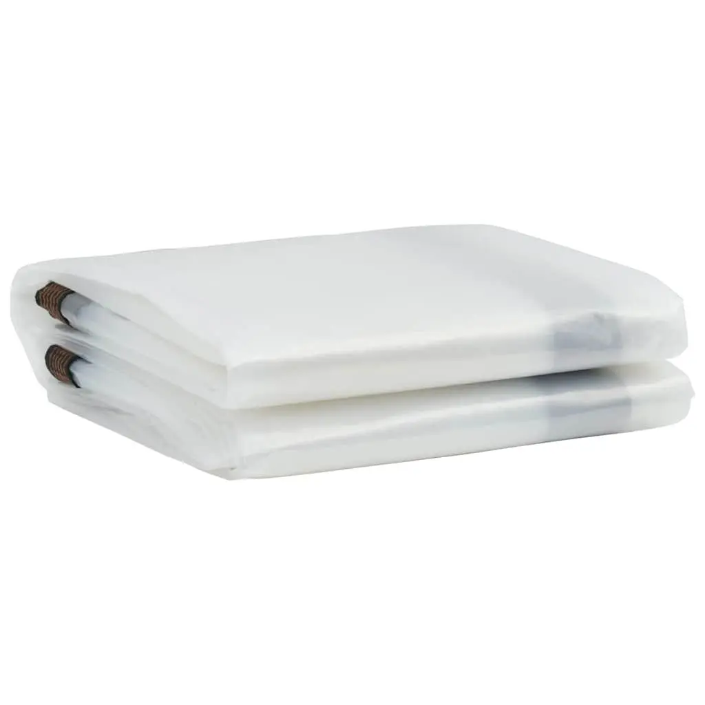 Clear Tarpaulin Sheet Eyelets 3x8m Polyethylene Outdoor Garden Cover