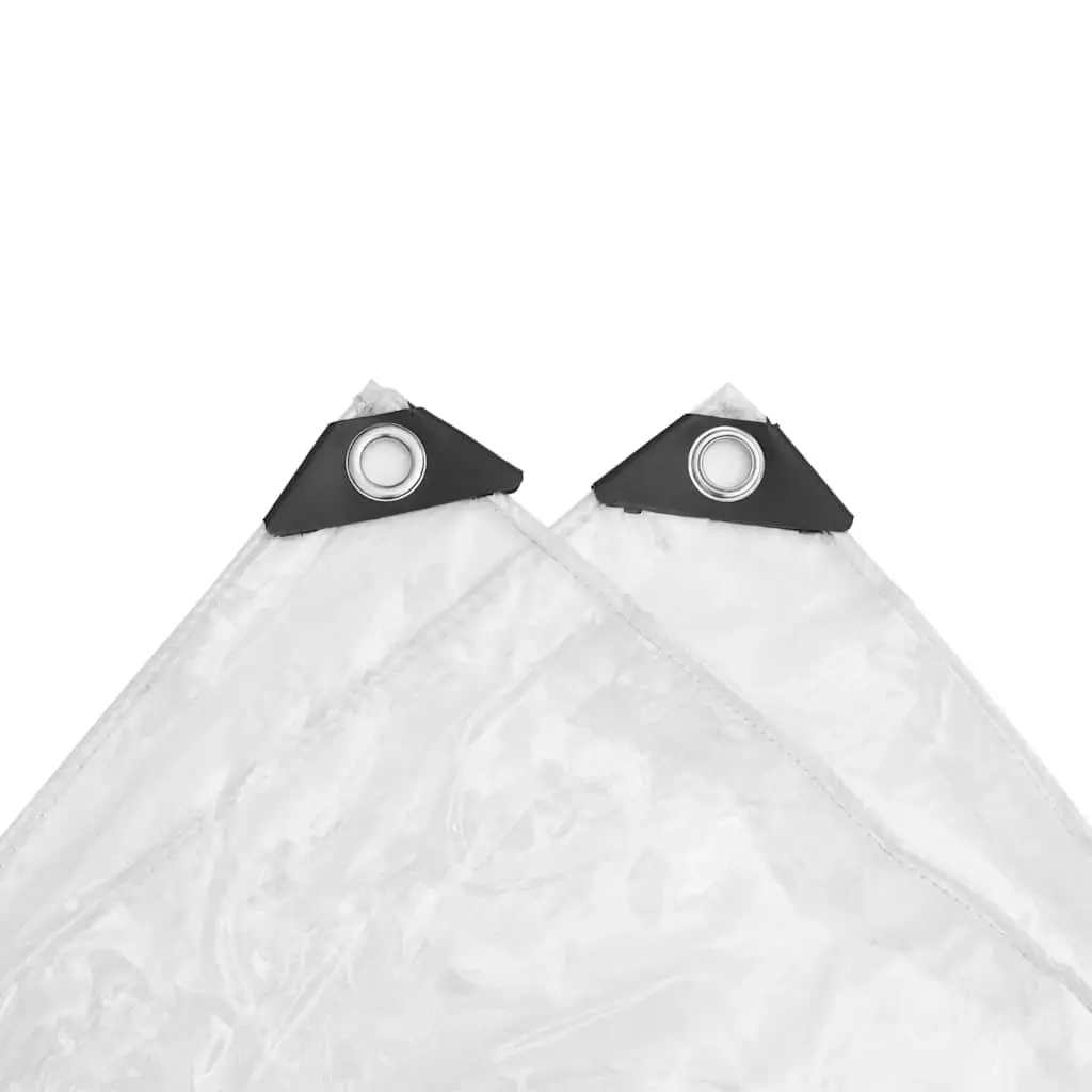 Clear Tarpaulin with Eyelets 2x3 m PVC Transparent Waterproof Outdoor Garden