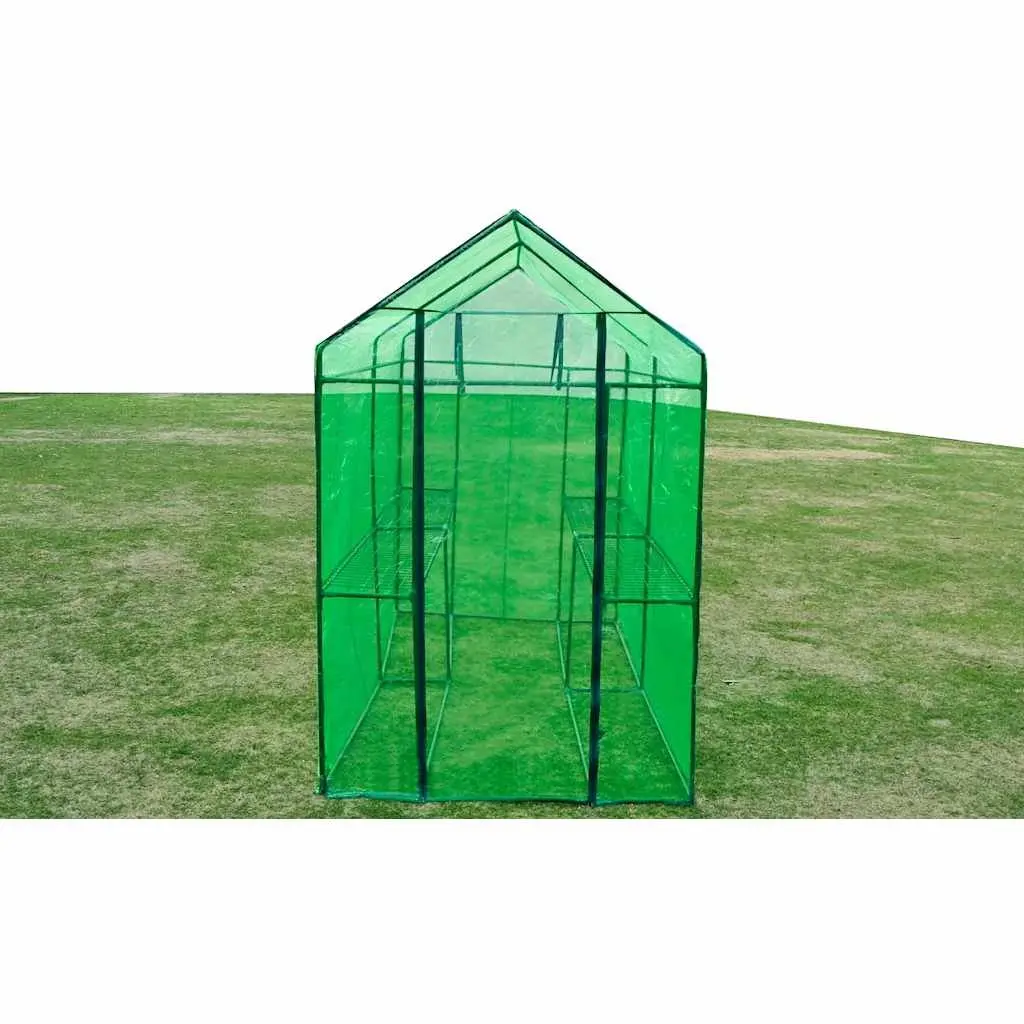 Greenhouse Steel Frame Green Transparent Cover Walk-in Door Plants Flowers