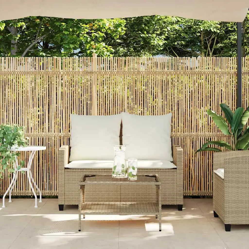 Garden Sofa 2-Seater Outdoor Lounge PE Rattan with Cushions Glass Table Beige