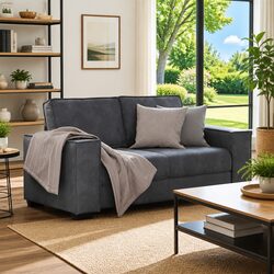 Your New Favorite Grey Velvet 2-Seater Sofa