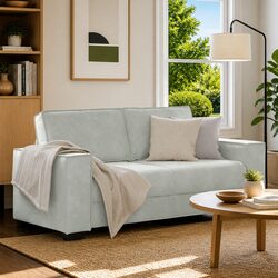 Your Ideal Light Grey Velvet 2-Seater Sofa Awaits