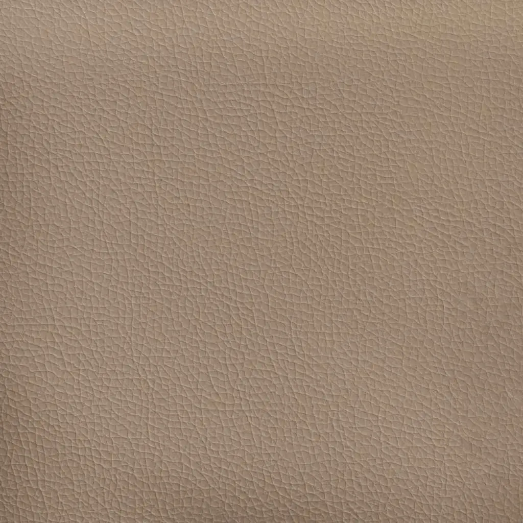 Faux Leather Loveseat Sofa 2 Seater 160 cm Indoor Seating Cappuccino Brown