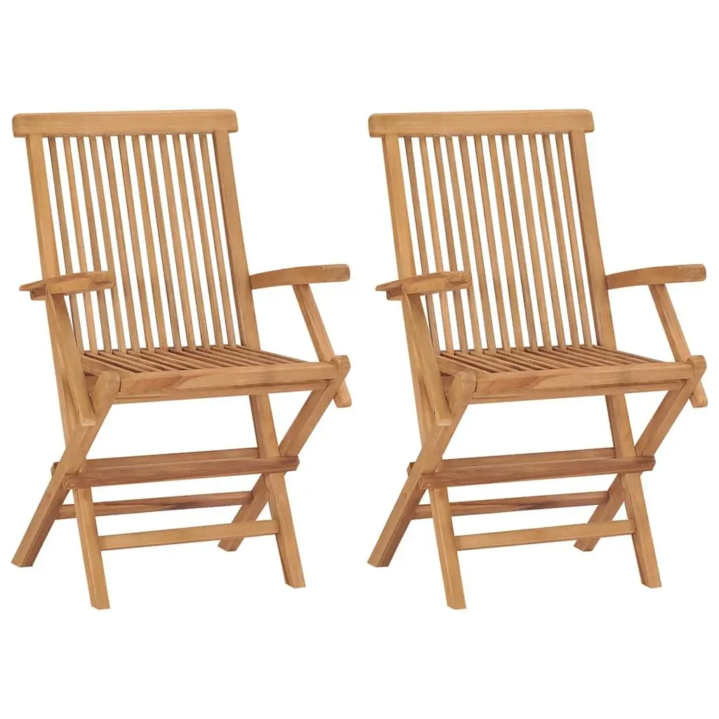 Folding Garden Chairs Set Teak Wood Lightweight 2 pcs