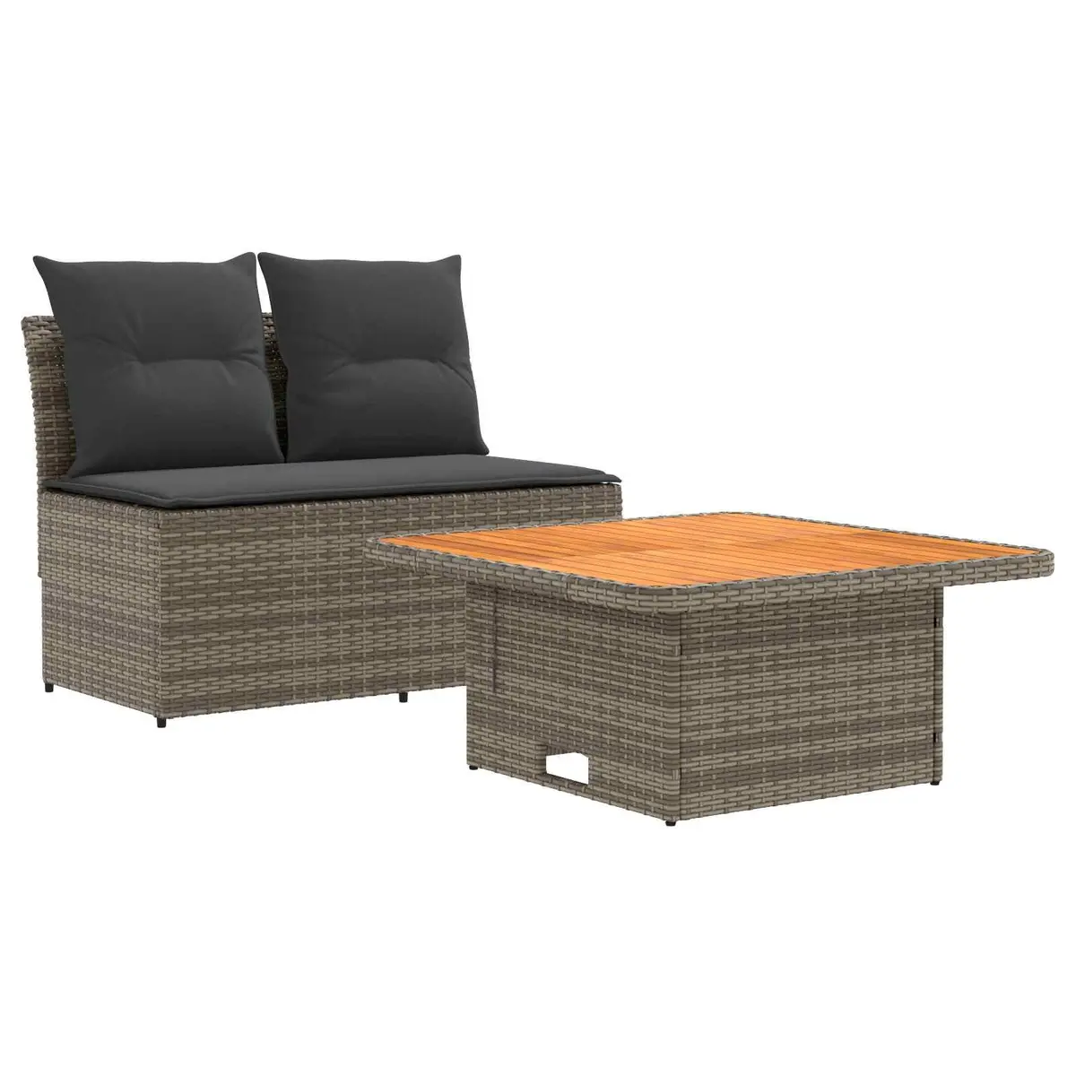 Outdoor Middle Sofa Sectional