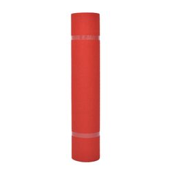 Friendly Red Carpet 1 x 12 m for Your Next Event