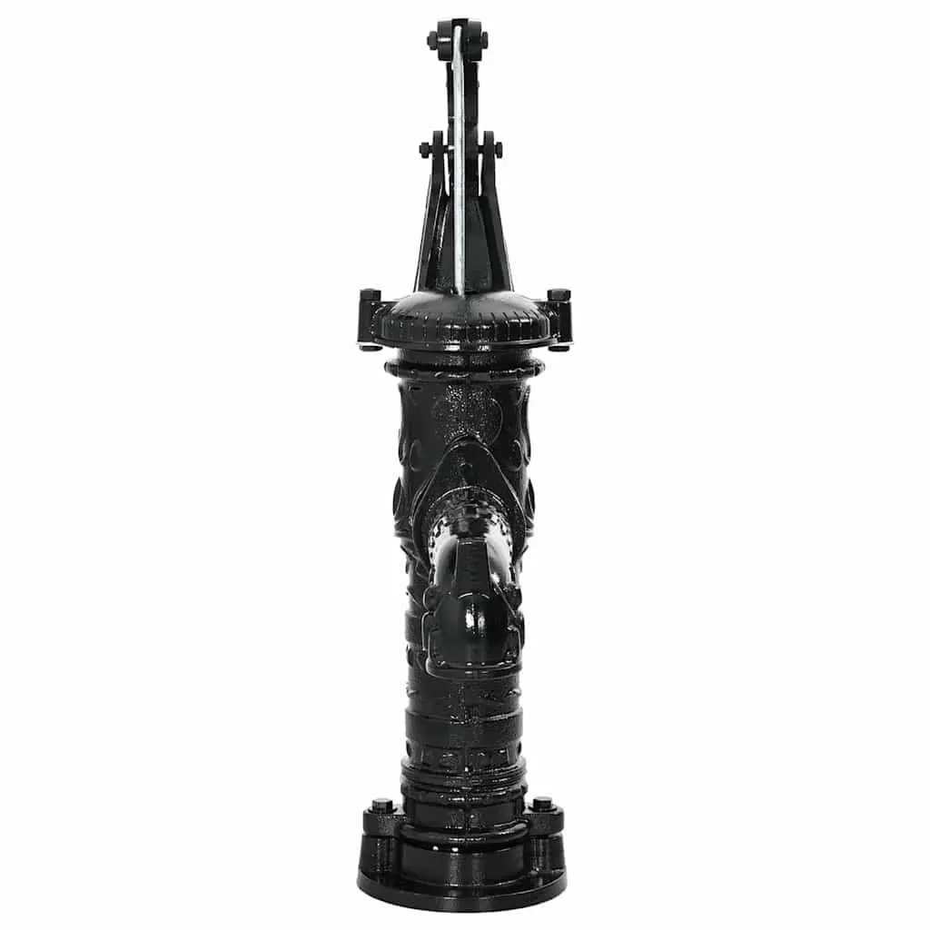Hand Operated Garden Water Pump Cast Iron Black Manual Outdoor 38 mm