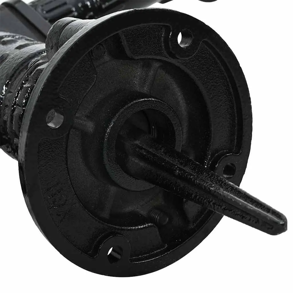 Hand Operated Garden Water Pump Cast Iron Black Manual Outdoor 38 mm