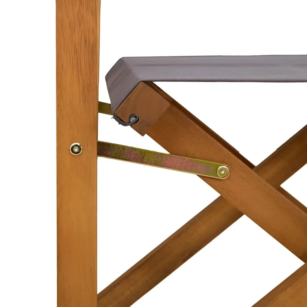 2 Pack Folding Director's Chairs