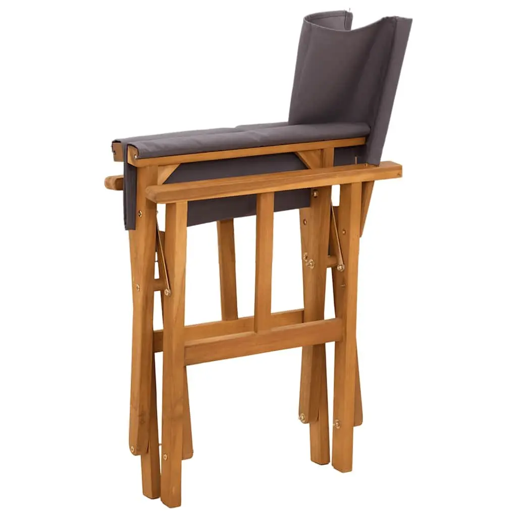 2 Pack Folding Director's Chairs