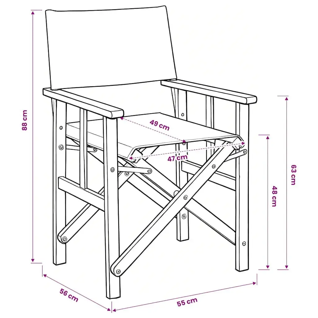 2 Pack Folding Director's Chairs