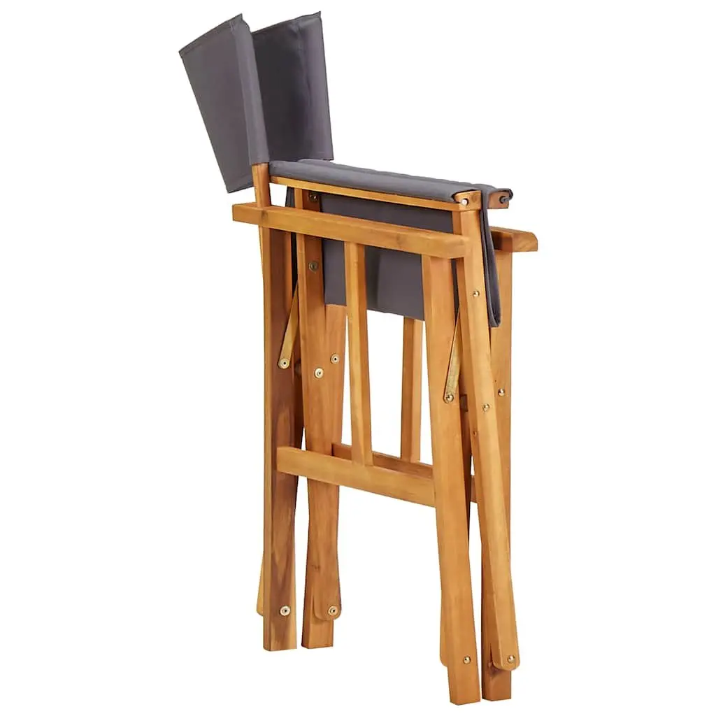 Folding Director's Chair for Outdoor Fun