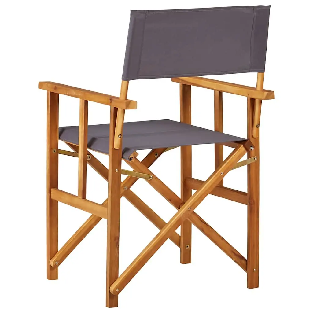Folding Director's Chair for Outdoor Fun
