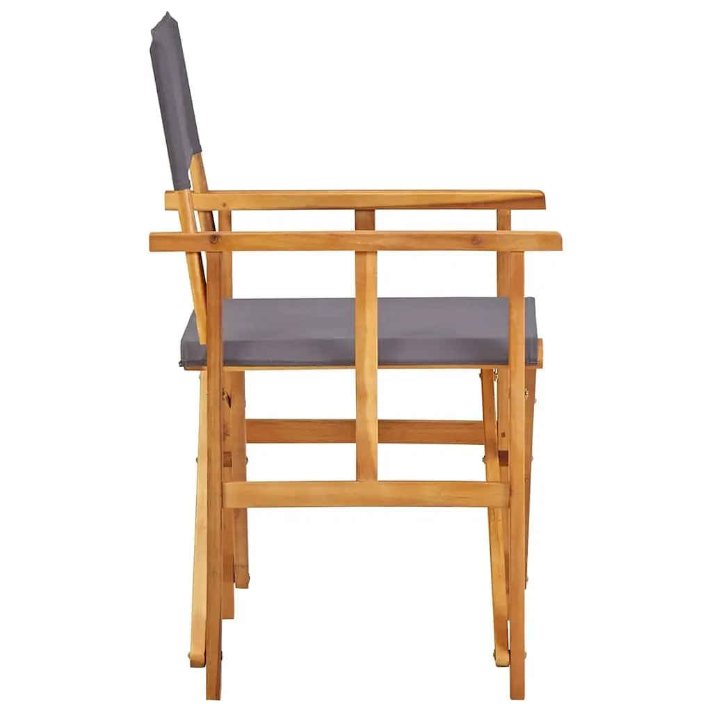Folding Director's Chair for Outdoor Fun