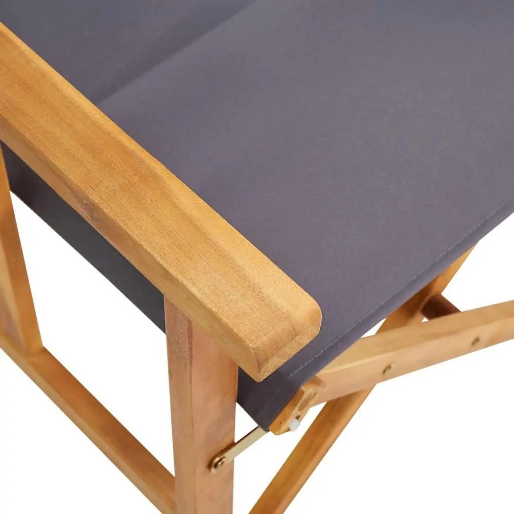 Folding Director's Chair for Outdoor Fun