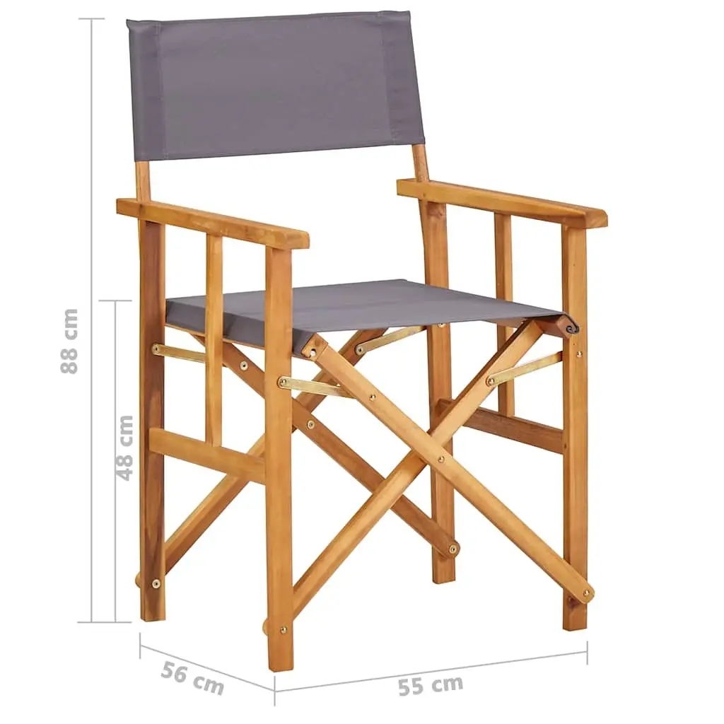 Folding Director's Chair for Outdoor Fun