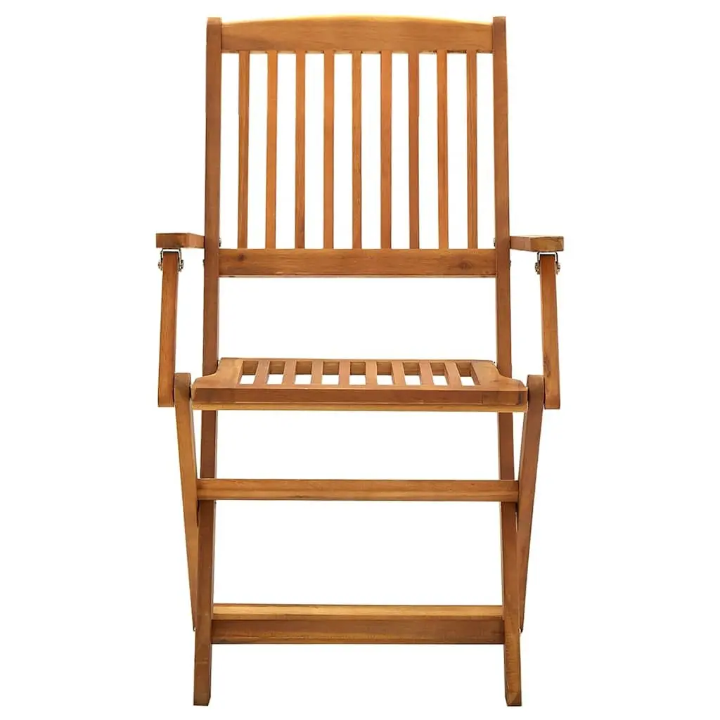 2 Folding Chairs Set