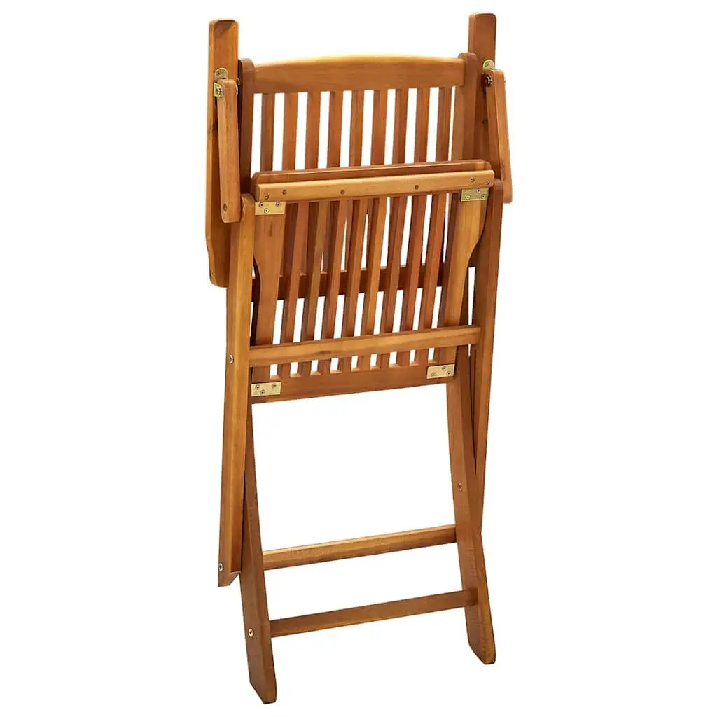 2 Folding Chairs Set