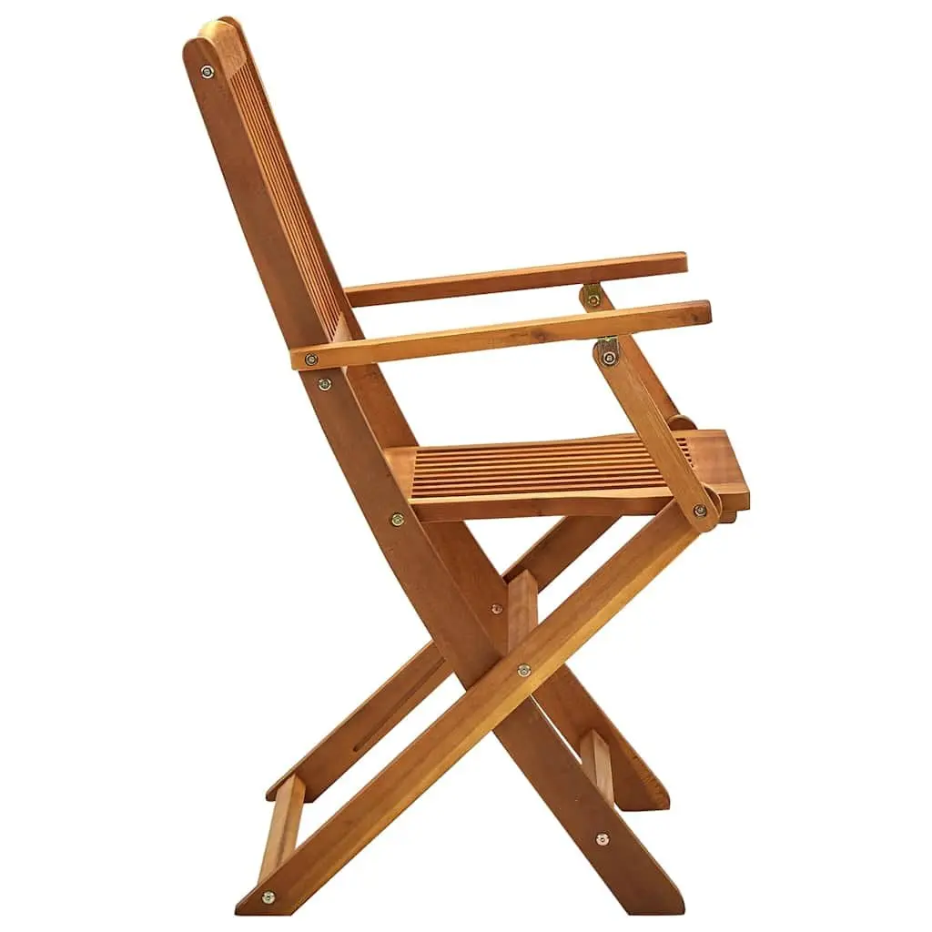 2 Folding Chairs Set