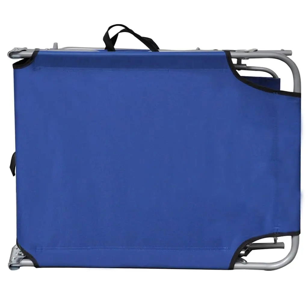 Blue Folding Lounger and Canopy
