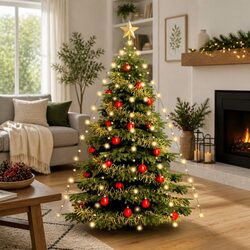 Friendly 210 LED Christmas Tree Net Lights for Your Home