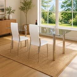 Friendly Dining Chairs - Ergonomic and Stylish for You