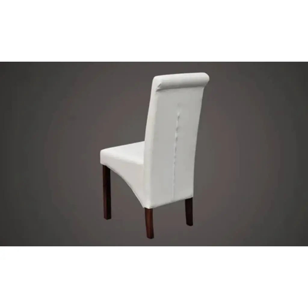Dining Chairs Set of 2 in White