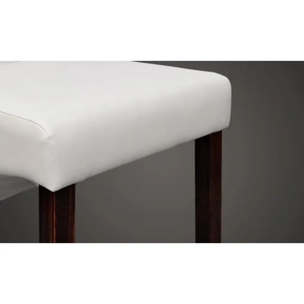 Dining Chairs Set of 2 in White