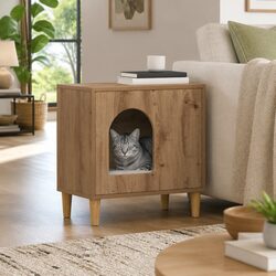 A Friendly Cat House to Fit Your Home