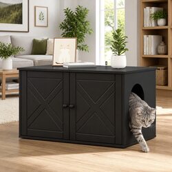 Friendly Cat House for Your Feline's Comfort