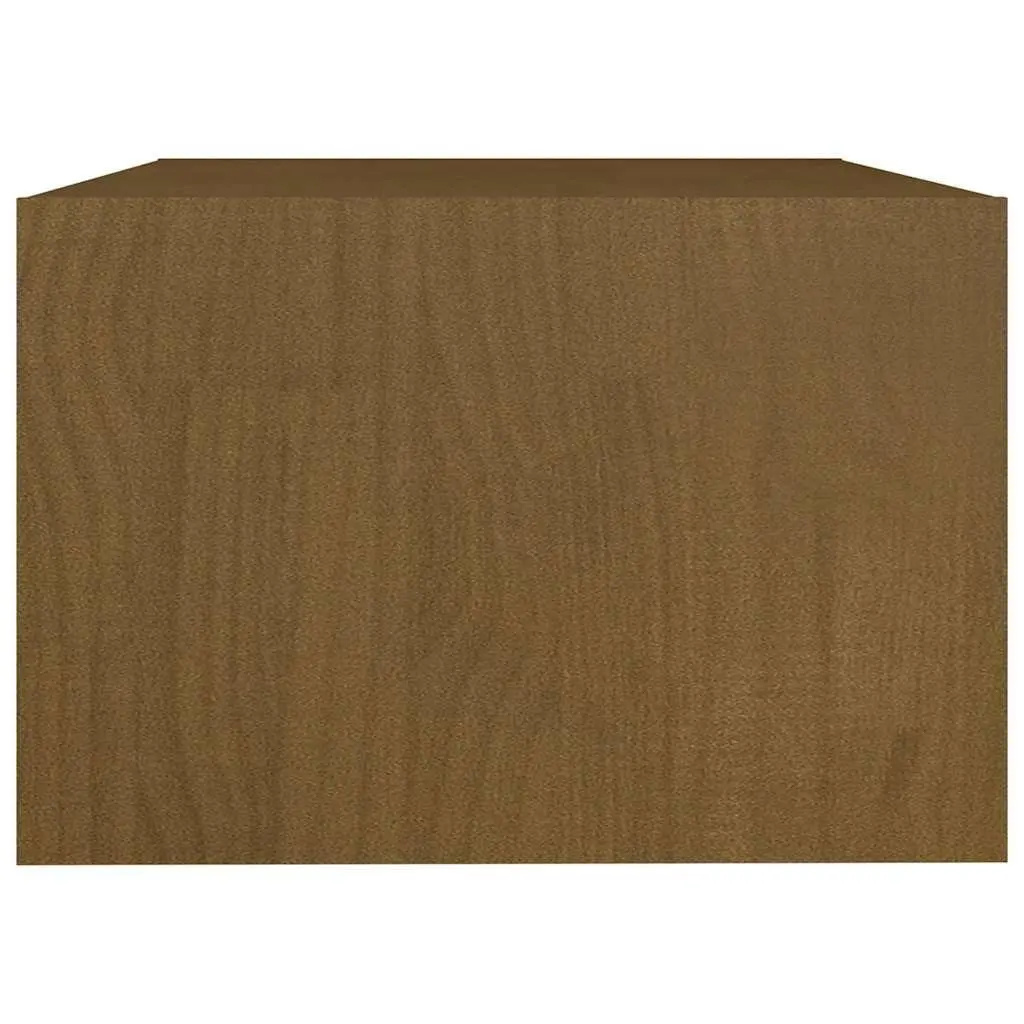 Brown Pinewood Coffee Table with Storage Shelf