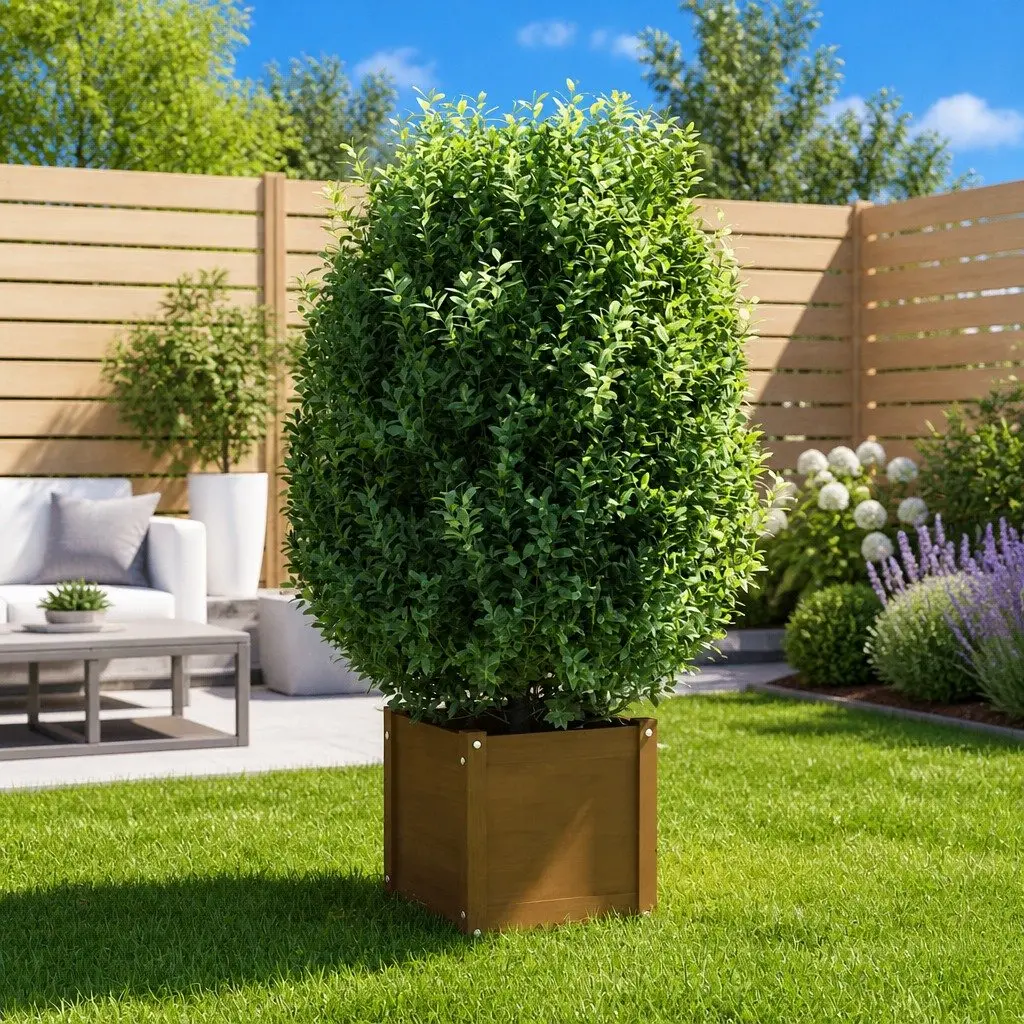 Solid Pinewood Garden Planter Box