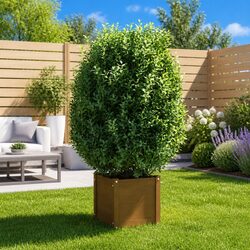 Your New Solid Pinewood Garden Planter Box Awaits