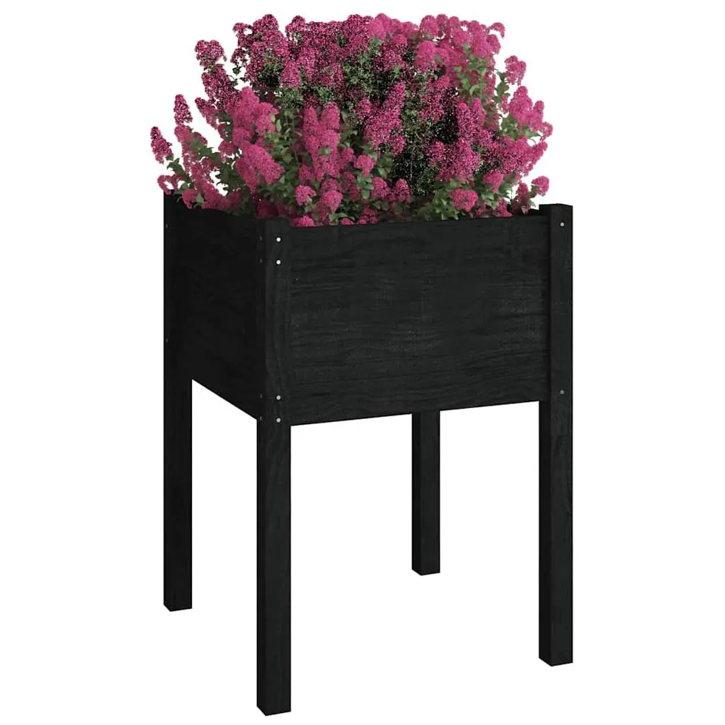 Black Planter Box for Flowers
