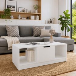Discover a Coffee Table with Great Storage for You
