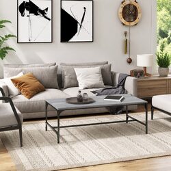 A Friendly Addition: Grey Sonoma Coffee Table for You
