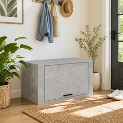 Your New Grey Wall-mounted Shoe Cabinet