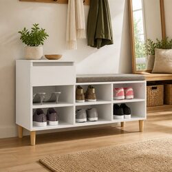 You’ll Love This Versatile Shoe Cabinet with 6 Compartments