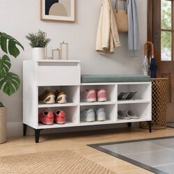 Your Ideal Shoe Cabinet: White High Gloss Design